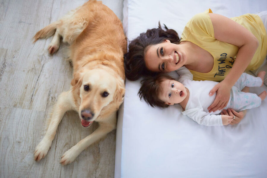 Imagem mae-bebe-e-cachorro 1